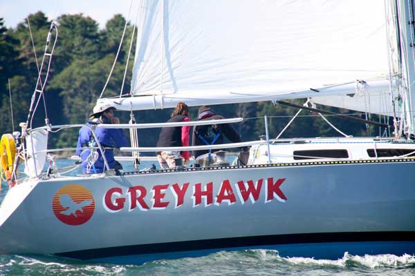 Greyhawk at the Start