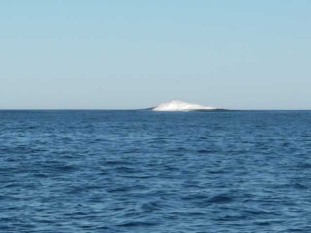 Hurricane Igor's Swell showing off on the South Breaker